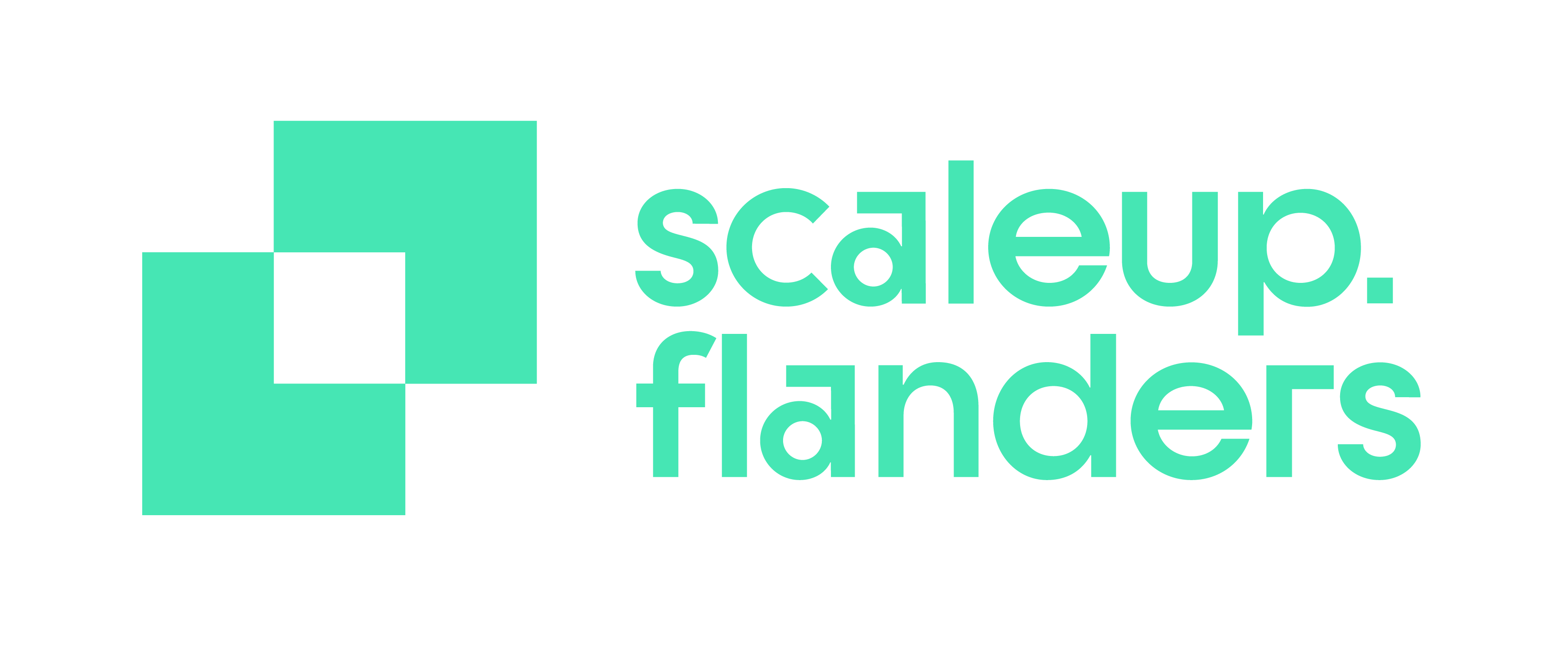 Scaleup Flanders